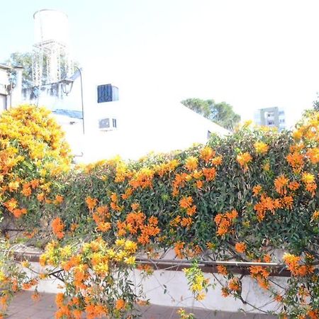 Casa Colonial En Salta Nueva Y Antigua Apartment Екстериор снимка