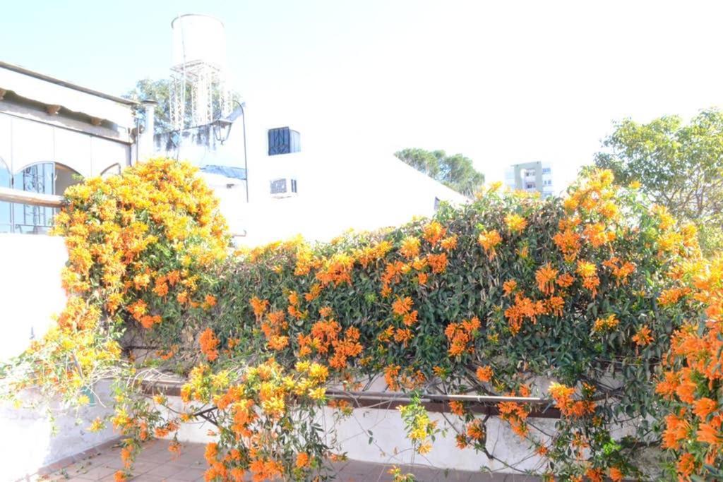 Casa Colonial En Salta Nueva Y Antigua Apartment Екстериор снимка