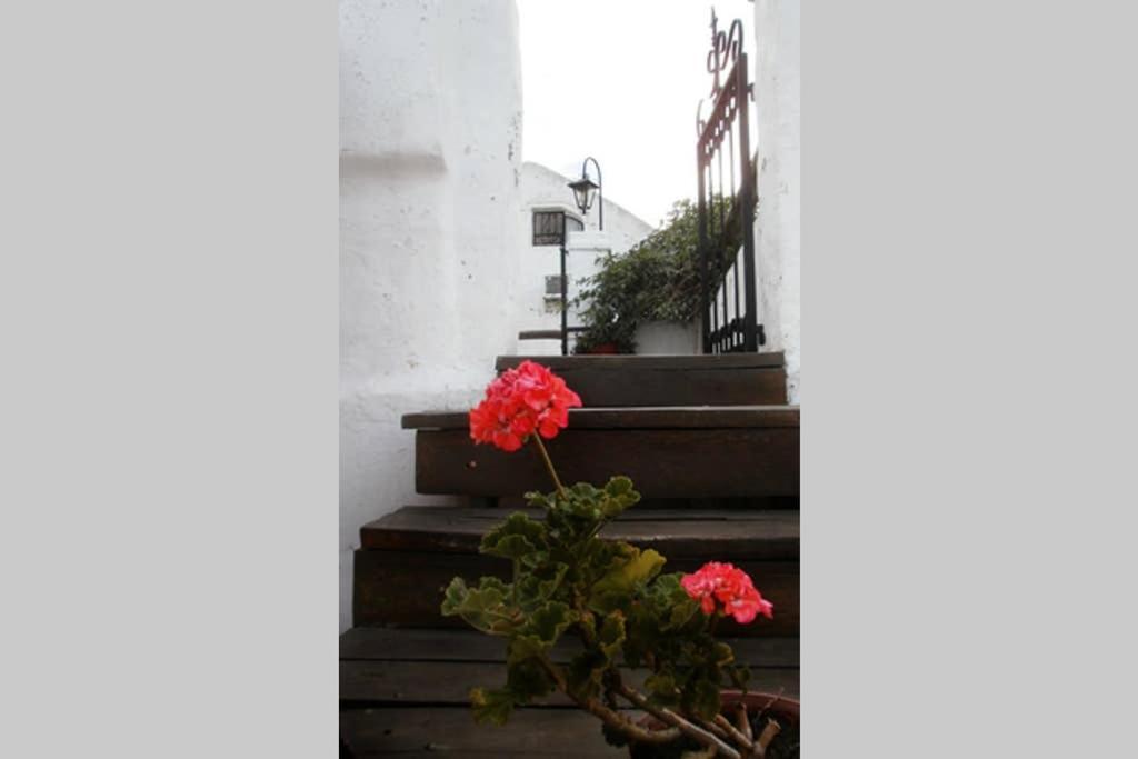 Casa Colonial En Salta Nueva Y Antigua Apartment Екстериор снимка